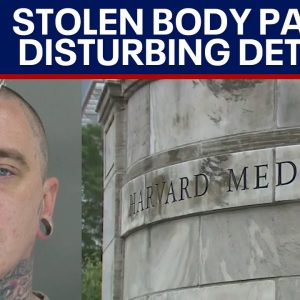 Body parts sold: Harvard employee charged in disturbing scheme | LiveNOW from FOX