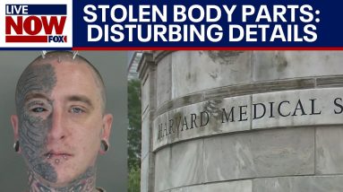 Body parts sold: Harvard employee charged in disturbing scheme | LiveNOW from FOX
