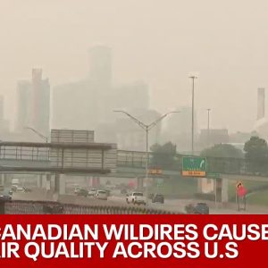 "Very Unhealthy" US air quality from Canadian wildfires | LiveNOW from FOX