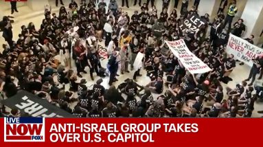 BREAKING: Protesters at Capitol demand Gaza ceasefire, spark fears of riot | LiveNOW from FOX