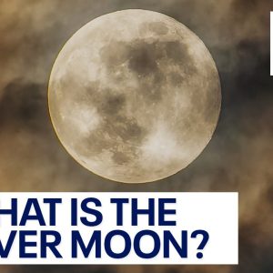 Beaver Moon: How and when to see the second-to-last full Moon of the year | LiveNOW from FOX