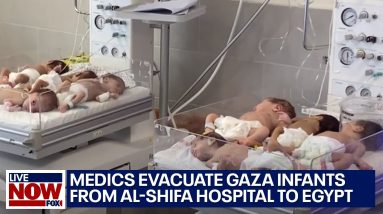 Israel-Hamas war: Gaza babies evacuated from Al-Shifa hospital | LiveNOW from FOX