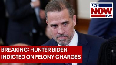 BREAKING: Hunter Biden indicted on felony gun charges | LiveNOW from FOX