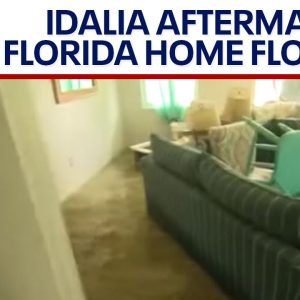 Flooded homes and debris, Idalia leaves destruction after a powerful storm | LiveNOW from FOX