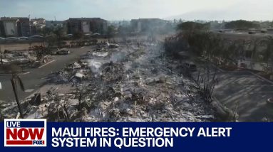 No sirens in Maui fire: 93 dead as questions raised about emergency alert system | LiveNOW from FOX