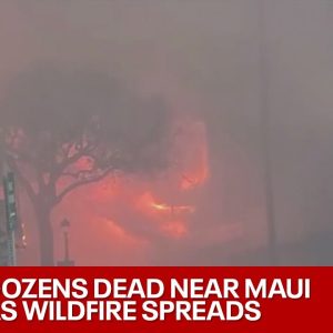 Maui fire: 36 dead in Hawaii, thousands evacuate to US mainland | LiveNOW from FOX