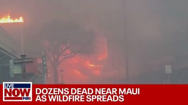 Maui fire: 36 dead in Hawaii, thousands evacuate to US mainland | LiveNOW from FOX