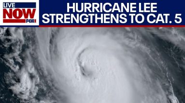 Hurricane Lee Becomes a Category 5 storm, strongest since 2019 | LiveNOW from FOX
