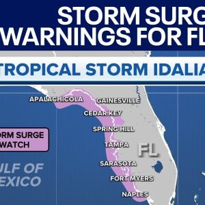 Idalia: Florida hurricane projected as Category 3, storm surge warnings active | LiveNOW from FOX