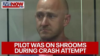 Off-duty pilot used psychedelic mushrooms before trying to crash plane | LiveNOW from FOX