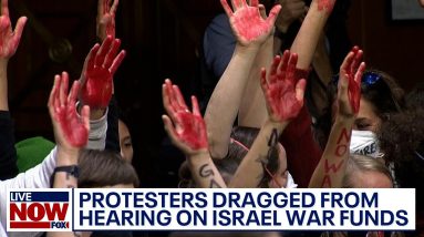 Anti-Israel protesters dragged from Senate hearing on Israel war funding | LiveNOW from FOX