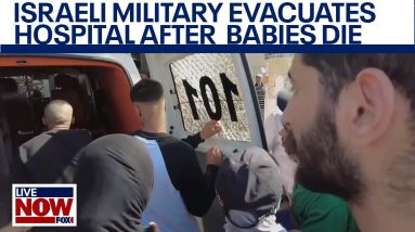 Israeli troops evacuate babies from Gaza hospital, IDF says | LiveNOW from FOX