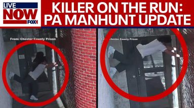 Pennsylvania manhunt update: search for Danelo Cavalcante continues | LiveNOW from FOX