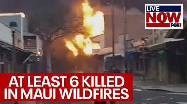 Maui fire: At least 6 dead in Hawaii, mayor says | LiveNOW from FOX