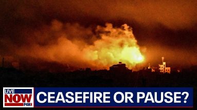 Israel-Hamas war update: ceasefire or humanitarian pause? | LiveNOW from FOX