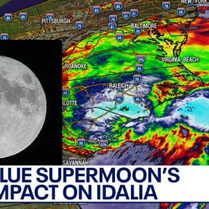 Tropical storm Idalia: Blue super moon's impact on tides | LiveNOW from FOX