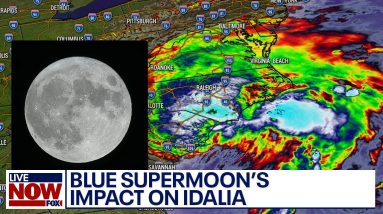 Tropical storm Idalia: Blue super moon's impact on tides | LiveNOW from FOX