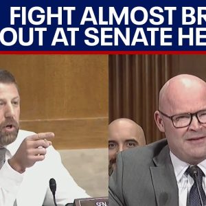 Senate hearing fight: "Do you want to fight me?" | LiveNOW from FOX