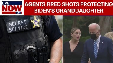 Secret Service agents fire shots protecting Biden's granddaughter in SUV break in | LiveNOW from FOX