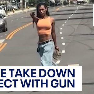 Viral video: Gun-waving suspect taken down by police in New York intersection | LiveNOW from FOX