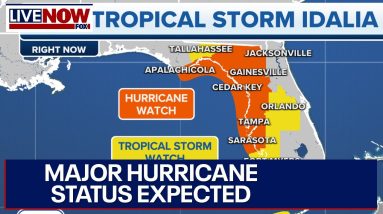 Idalia: Florida hurricane to bring major storm surge, flooding concerns | LiveNOW from FOX