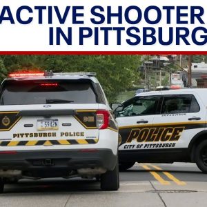 Active shooter dead in Pittsburgh neighborhood, police say | LiveNOW from FOX