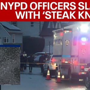 Stabbing in Queens: 4 dead, 7 stabbed, including 2 NYPD officers | LiveNOW from FOX