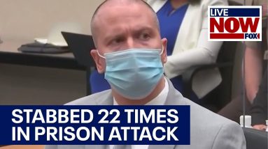 Derek Chauvin was stabbed 22 times in federal prison attack, court docs show | LiveNOW from FOX
