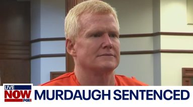 Alex Murdaugh pleads guilty to stealing millions from clients | LiveNOW from FOX
