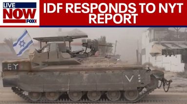 Israel-Hamas war: IDF responds to NYT report and latest on fighting in Gaza | LiveNOW from FOX