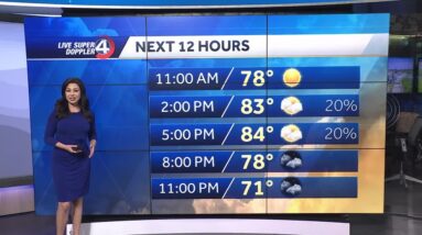 Humid with scattered showers