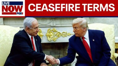 Israel agrees to framework for ceasefire in Gaza, Trump says | LiveNOW from FOX