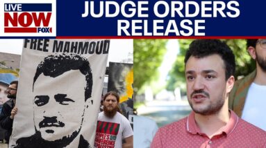 Mahmoud Khalil, Columbia University protester, freed from detention after judge’s order