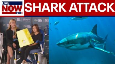 9-year-old bit by shark off Florida beach, has emergency surgery