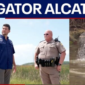 FL AG offers Trump "Alligator Alcatraz" to detain migrants