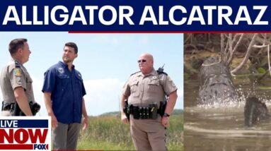FL AG offers Trump "Alligator Alcatraz" to detain migrants