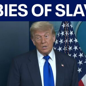 FULL: Trump birthright citizenship remarks "Meant for babies of slaves"