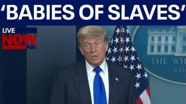 FULL: Trump birthright citizenship remarks "Meant for babies of slaves"