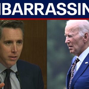 Hawley slams Dems: 'Who was really running the White House?'