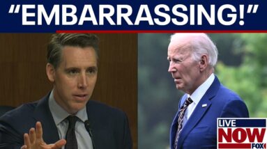 Hawley slams Dems: 'Who was really running the White House?'