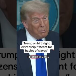 "Meant for babies of slaves" Trump on birthright citizenship ruling
