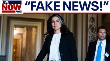 'Propaganda media': Tulsi Gabbard lashes out on Iran nuclear report
