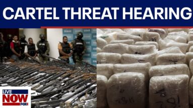 Senate hearing to examine U.S. fight against cartels