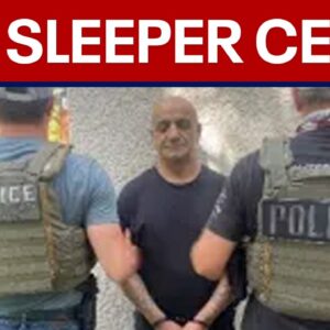 Sleeper cell concerns: Minnesota man among 11 Iranians arrested by ICE