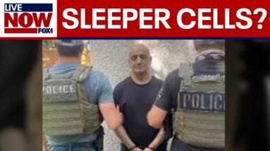 Sleeper cell concerns: Minnesota man among 11 Iranians arrested by ICE