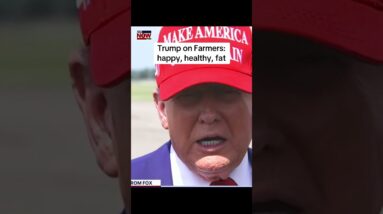 Trump on tariffs impacts on farmers: happy, healthy and fat