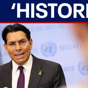 US strikes Iran: Entire world is safer, Israel UN ambassador says