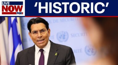US strikes Iran: Entire world is safer, Israel UN ambassador says