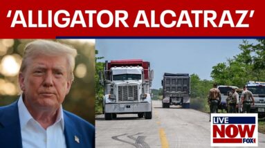 'Alligator Alcatraz': Trump visiting Florida immigration detention center Tuesday | LiveNOW from FOX