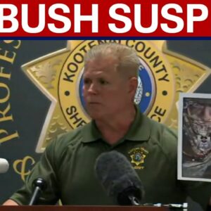 NEW DETAILS: Ambush attack suspect identified, social media posts revealed
